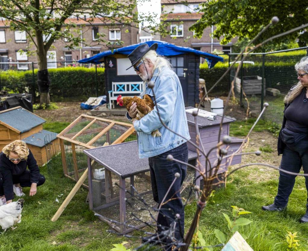 Kippenproject Mariaberg