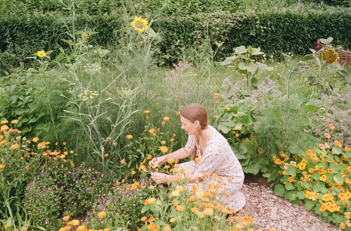 Een bloementuin voor verbinding, meer biodiversiteit en een fijne natuurlijke leefomgeving